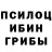 Псилоцибиновые грибы Psilocybine cubensis Anton Krasov
