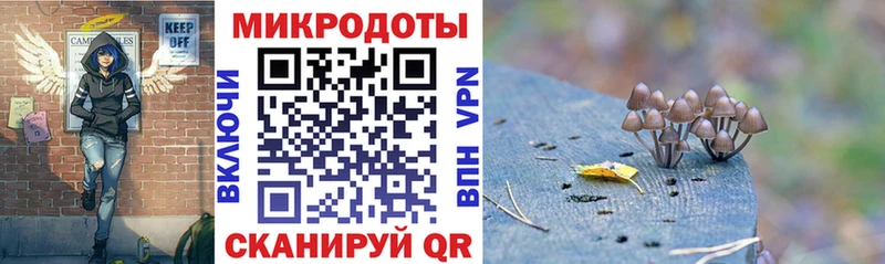 KRAKEN ссылки  Вятские Поляны  Псилоцибиновые грибы ЛСД 